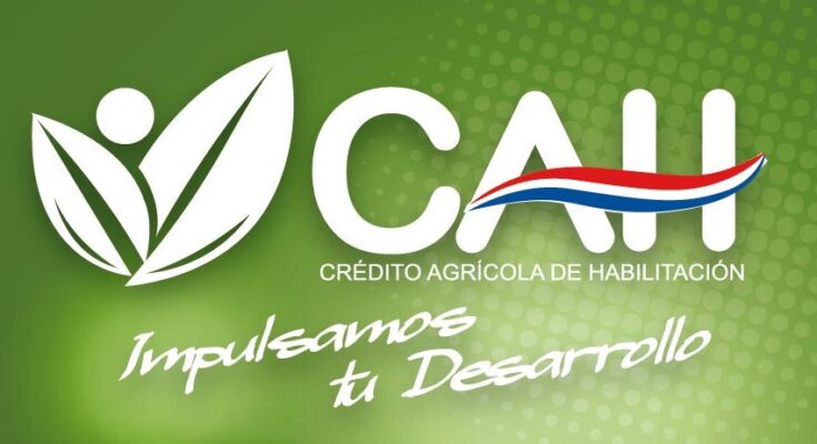 Crédito agrícola requisitos para préstamos